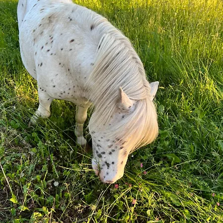 营地 Mobil Xxl 4 - A L'ombre Des Tilleuls Peyrouse