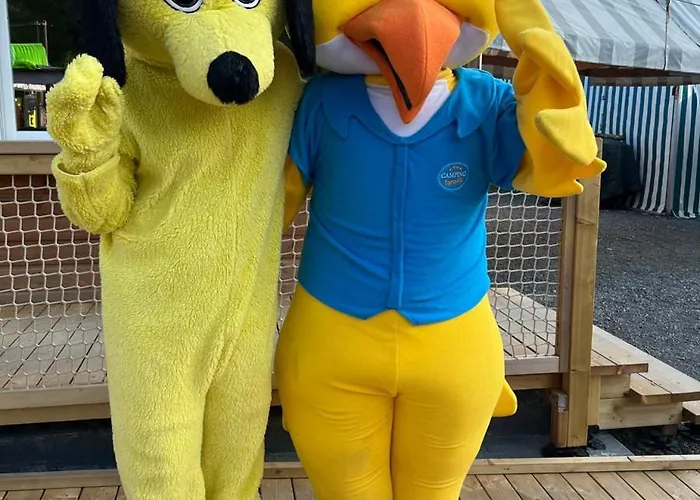 Mobil Xxl 4 - A L'ombre Des Tilleuls Peyrouse